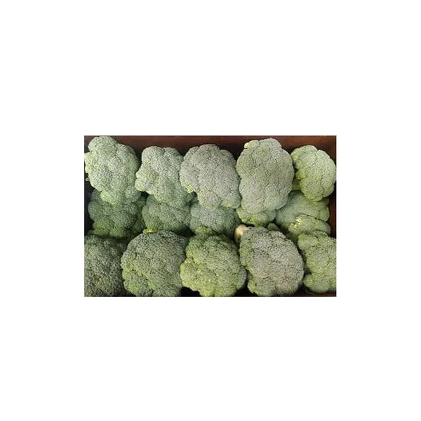 14 حزمة بروكلي / صندوق