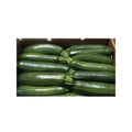 12lbs - Green Zucchini Box