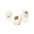 1lb - FRESH Garlic