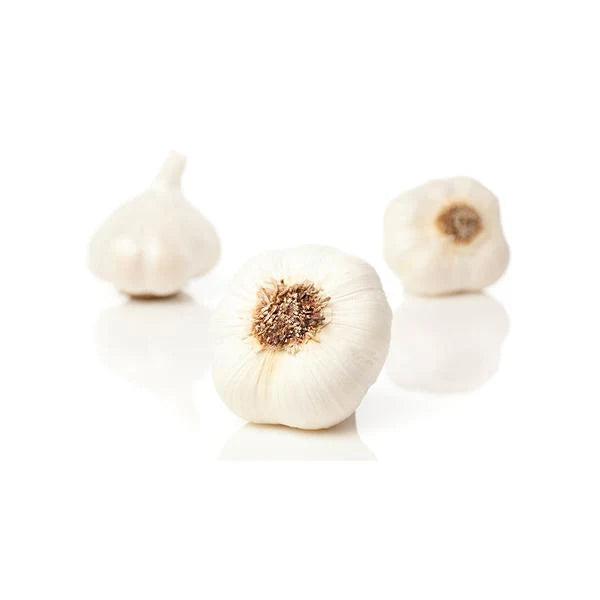 1lb - FRESH Garlic
