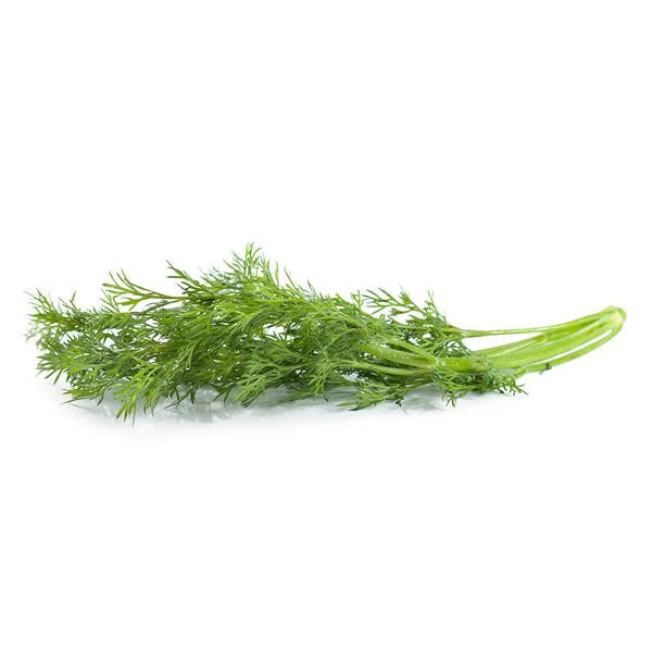 Herb- Local Fresh Dill Bunch