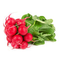 Fresh Radish Bunch