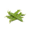 1lb- Sugar Snap Peas