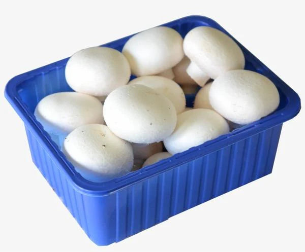 FRESH White Mushroom Pack
