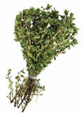 Herb - Thyme