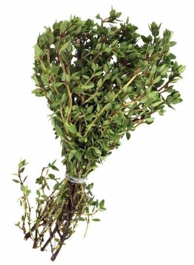 Herb - Thyme