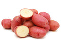 1 lb - MINI RED POTATOES