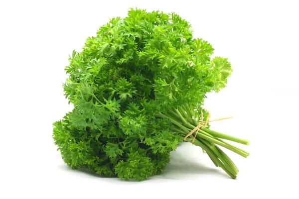 Curly Parsley Bunch